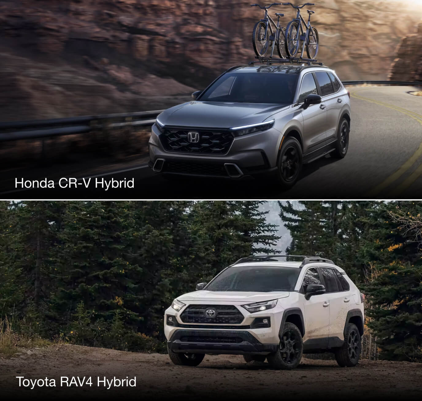 Honda vs. Toyota Hybrids